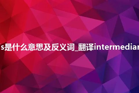 intermediary meiosis是什么意思及反义词_翻译intermediary meiosis的意思_用法