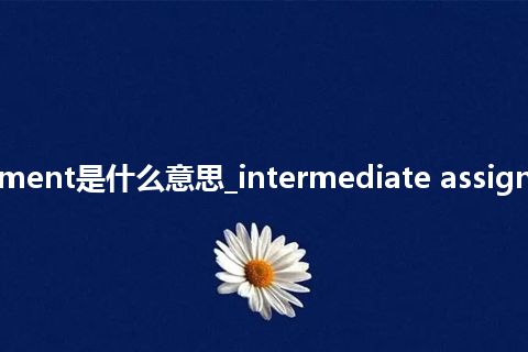 intermediate assignment是什么意思_intermediate assignment的中文释义_用法