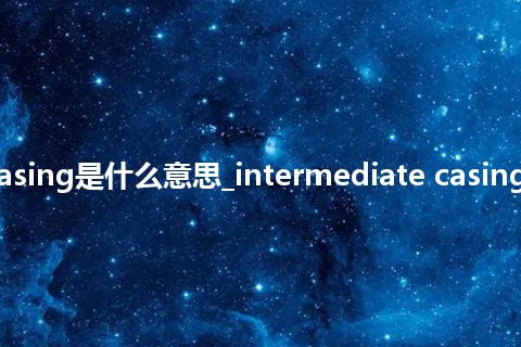 intermediate casing是什么意思_intermediate casing的中文释义_用法