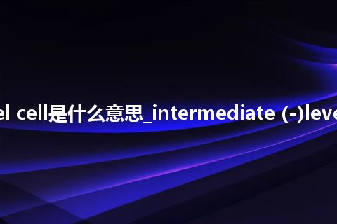 intermediate (-)level cell是什么意思_intermediate (-)level cell的中文释义_用法