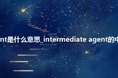 intermediate agent是什么意思_intermediate agent的中文翻译及音标_用法