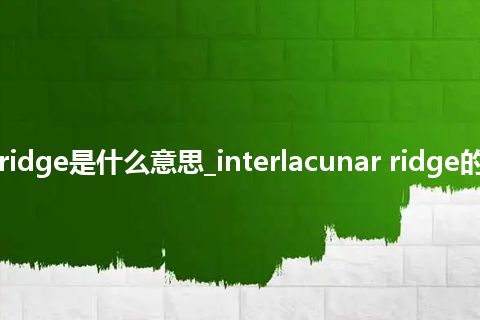 interlacunar ridge是什么意思_interlacunar ridge的中文意思_用法