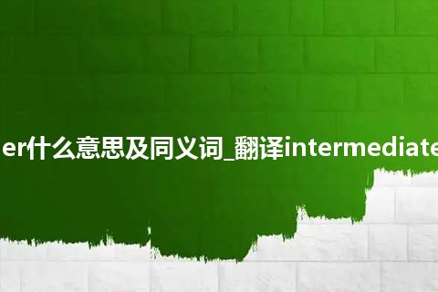 intermediate consumer什么意思及同义词_翻译intermediate consumer的意思_用法