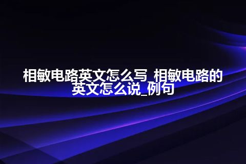 相敏电路英文怎么写_相敏电路的英文怎么说_例句